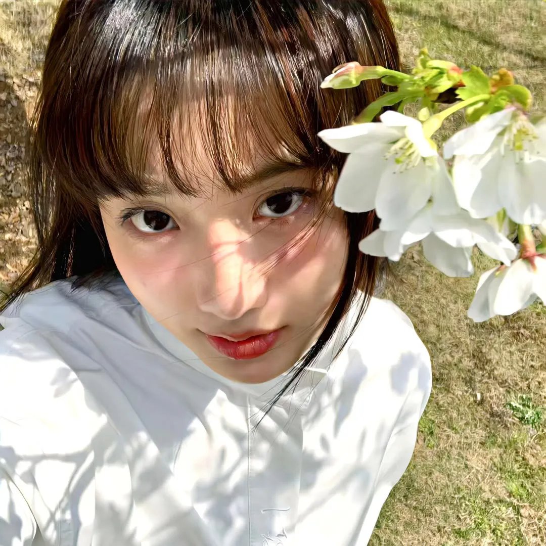 尼罗河之子 在线观看